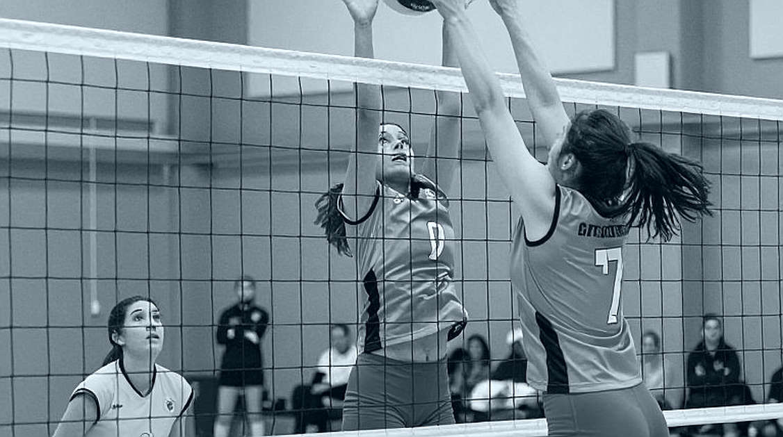 Volleyball Vietnam Match Tactical Analysis: Insufficient Information Leading to Inability to Evaluate Volleyball Vietnam Match Tactical Analysis: Insufficient Information Leading to Inability to Evaluate