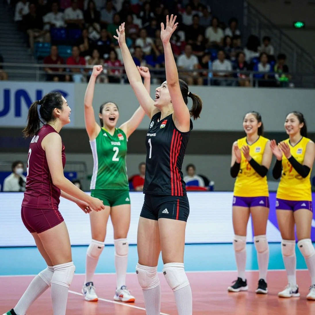 Boskovic's 29 Points, Serbia's Title: When the Coach Leaves the Bench, the Captain Takes the Lead