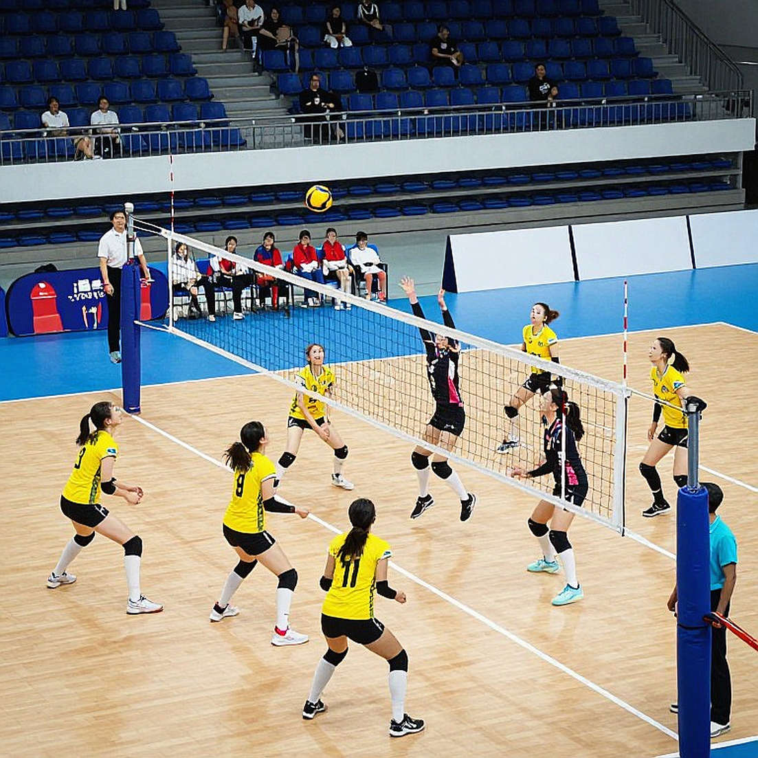Decoding the Victory of AVP League 2026's 'Dominant Pairs': Data Reveals the Truth Behind Impressive Numbers Decoding the Victory of AVP League 2026's 'Dominant Pairs': Data Reveals the Truth Behind Impressive Numbers